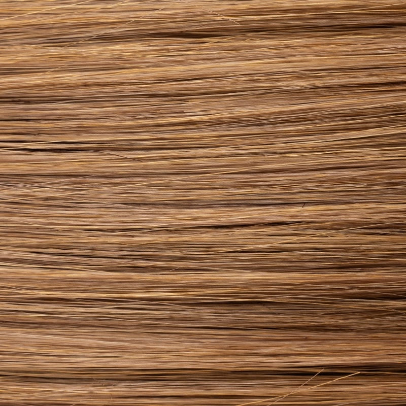 Whisper Comfort wig - Ellen Wille Hair Society Collection