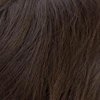 Brittany wig - Amore Rene of Paris