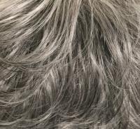 Zara Lace Small wig - Gisela Mayer
