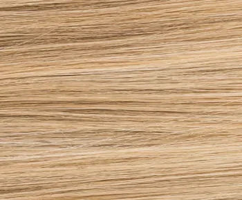 Xenita Human Hair wig - Ellen Wille Perucci Collection