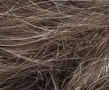 Zoe wig - Ellen Wille Modixx Collection