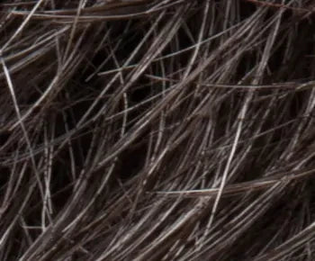 Zoe wig - Ellen Wille Modixx Collection