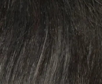 Carrisa wig - Envy Collection