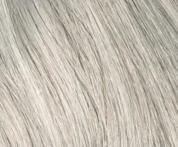 Carrisa wig - Envy Collection