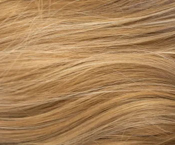 Misha wig - Rene of Paris Hi-Fashion