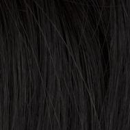 Express Mono wig - Gisela Mayer