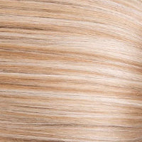 Petite Paige wig - Envy Collection