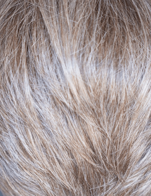 Collette Petite wig - Petite Wig Company