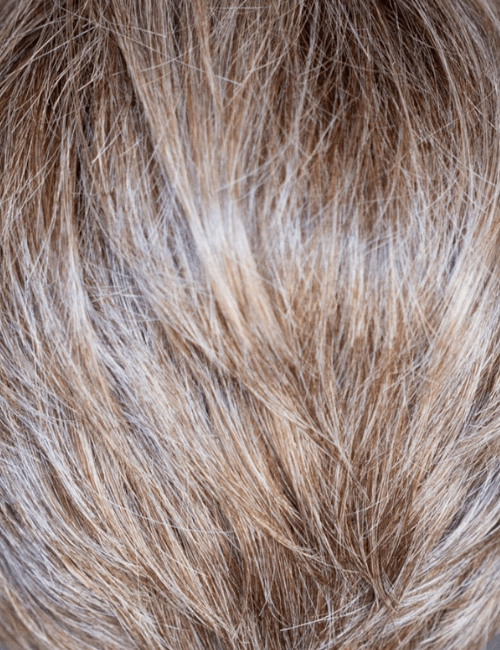 Collette Petite wig - Petite Wig Company