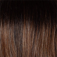 Balayage Beauty Heat Friendly wig - Raquel Welch