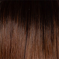 Balayage Beauty Heat Friendly wig - Raquel Welch