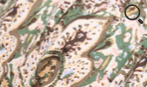 1008 Lotus Printed Turban - Christine Headwear