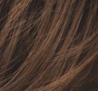 Famous Human Hair Enhancer - Top Power by Ellen Wille