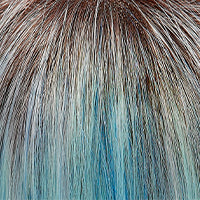 Cameron wig - SmartLace Collection Jon Renau