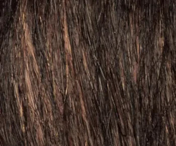 Tulsi wig - Natural Collection