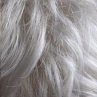 Zara wig - Feather Premier