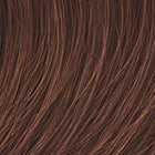 Boost wig - Raquel Welch